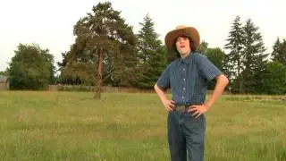 Moment in the Life: The Cowboy
