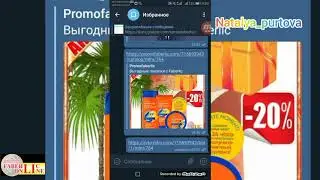 Дарю бот, который проводит собеседование и сам строит вам команду
