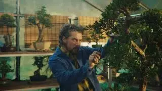 Intel 'Bonsai'