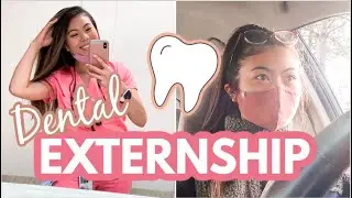 Dental School Externship // LauraSmiles