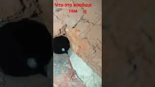 #там