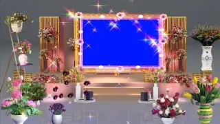 wedding green screen effects backgrounds 2021