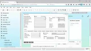 LINKING USER DEFINED FIELDS AND SYSTEM ENTITIES
