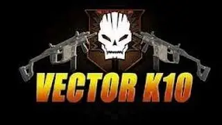 BO2 178 Kills w/Vector On Meltdown: How I Got the Name Akaemands12
