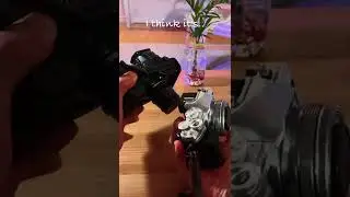 Panasonic LUMIX GH5 II #shorts