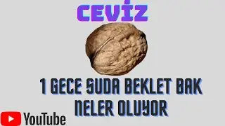 YARARLI BİLGİLER:CEVİZ DEYİP GEÇME