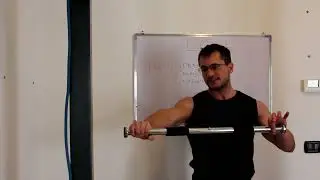 Polsi e Avambracci nella Planche