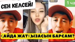Түркістан қалама негізі? / тикток стрим
