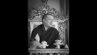H.H. Karmapa on long retreats and to practice in everyday life