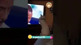 A Jojo le gusta el Horatio!! xD