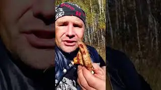 Свинушка ядовита вся
