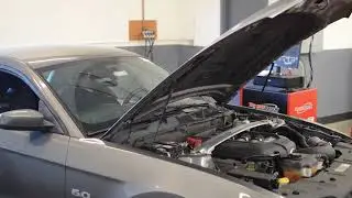 Jamil's Mustang GT