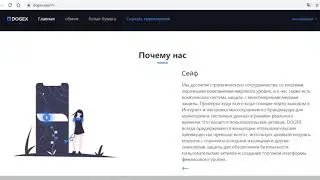 ОбЗОР Dogex