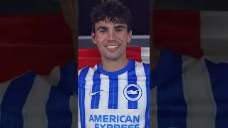 Matt O'Riley Is Blue & White 🥳🔵⚪️ #brightonandhovealbion #premierleague
