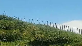 Samsung Galaxy S10e Camera Sample - Wide Camera with EIS at 60 FPS