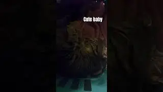 Cute baby in a basket 