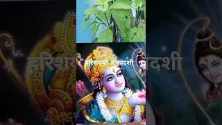 ॐ नमो भगवते बासुदेबाय:!