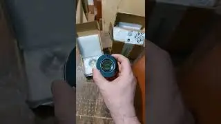 Снова мелкие ленточники.