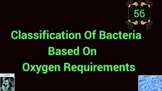 Classification Of Bacteria Based On Oxygen Requirements 