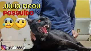 CONFUSÃO no Petshop 🙆🏻‍♂️😱 | Júlio e Eu