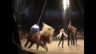 Пьяный мужик в цирке катается на лошади
