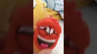Larva in a nutshell