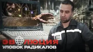 Эволюция уловок радикалов