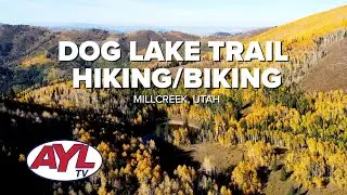 Dog Lake Trail - Millcreek Canyon