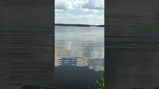 Лепельское озеро