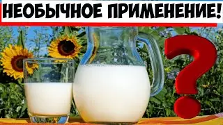 Кефир и сыворотка - помощники в огороде!