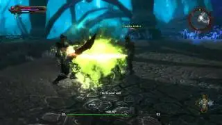 Let's Play: Kingdoms of Amalur: Reckoning Part 12 - 7 / 9