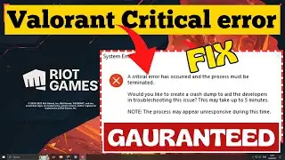 Fix Valorant critical error has occurred and process must be terminated