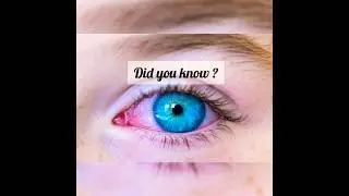 red eyes #whatif #redeye #redeyes #whyred #facts #interestingfacts #viral