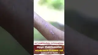 'കാട് വന്യജീവികൾക്കും നാട് മനുഷ്യർക്കും'