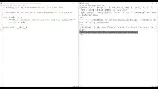 In Python, you can put Description of a Function