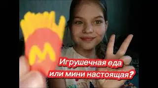 ИГРУШЕЧНАЯ ЕДА ИЛИ МИНИ НАСТОЯЩАЯ? ОБЗОР НА ИГРУШЕЧНУЮ ЕДУ СВОИМИ РУКАМИ!
