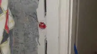 Быстрая замена электропроводки в панельном доме