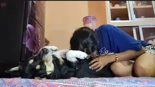Morning Fun With My Dog Shinchan | Gave Him A Nose Kiss 😘