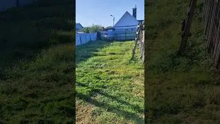 Друзья, Нужна Ваша Помощь 