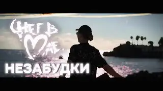 СНЕГ В МАЕ - НЕЗАБУДКИ (OFFICIAL MUSIC VIDEO 2024)