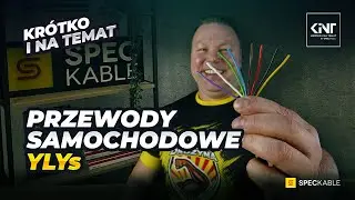 Przewody samochodowe YLYs [#KINT38]