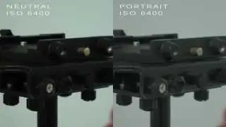 Sony A6000 | Creative Style | Flat Profile Noise