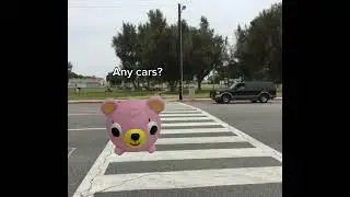 Look before you cross 😮