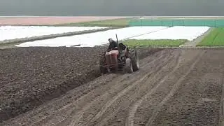 Massey ferguson 35x multipower ploughing Holland