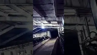 После вечерней дойки.