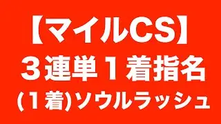 あの馬の単勝１点と！【マイルチャンピオンシップ2024予想】ブレイディヴェーグも、ナミュールも◎本命じゃない！３連単の１着で記入するのは、あの馬だ！