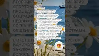 Прогноз