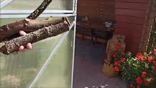 Снова коптим