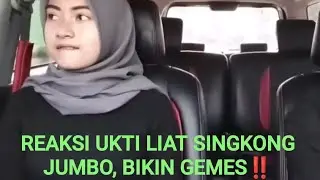 REAKSI UKTI LIAT SINGKONG JUMBO SOPIR, BIKIN GEMES‼️@rendiharyadir1rchanel
