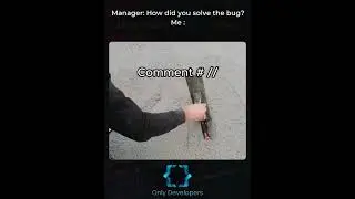 Manager: How did you solve the bug?Me: